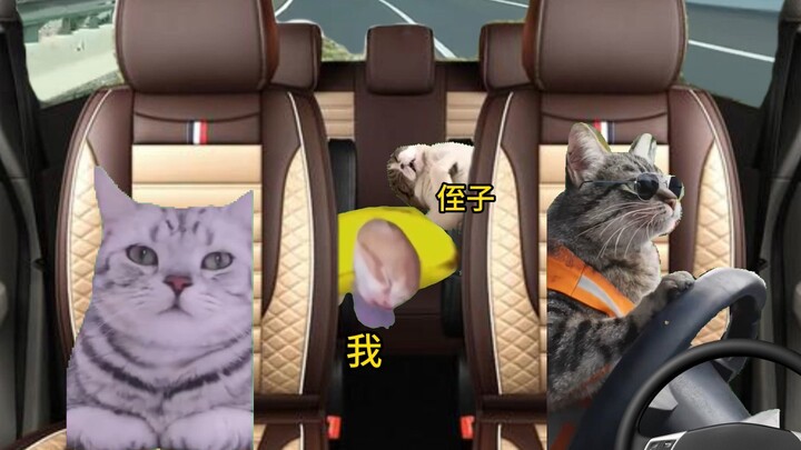 เมื่อคนขับรถท่องเที่ยวระยะไกลเริ่มรู้สึกง่วง