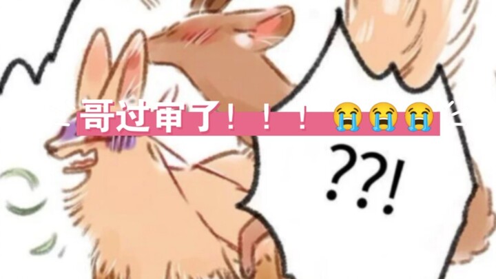 Apa yang harus saya lakukan jika keempat tanduknya lepas? Jawab: Cekung dan cekung😄