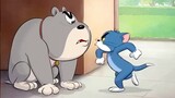 Bạn đã xem phiên bản Tom và Jerry này chưa? Tom Lao Liu đã bắt đầu phiên bản mới nhất của hoạt động 