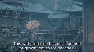 Blossom(2024) Episode 18 English Subtitle