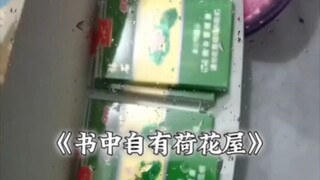 ⚡️书中自有荷花屋⚡️