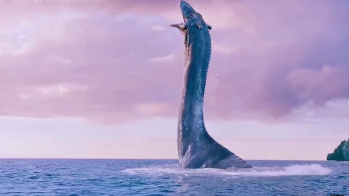 การผจญภัยในวัยเด็กคือประสบการณ์ที่ตราตรึงใจไปตลอดชีวิต