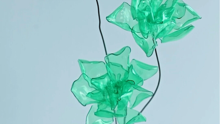 Amiya Floral Art | Creative Handmade Flowers in Sprite Bottles
