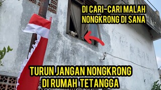 Astagfirullah  Kucing Ini Sudah Sembuh Dari Sakit Malah kabur Mau Ikut Tetangga..!