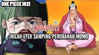 ONE PIECE 1021 !! GAWAT INILAH EFEK SAMPING PERUBAHAN MOMONOSUKE ( ONE PIECE)