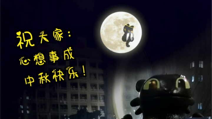 岁岁千到底是不是社牛猫呢？大家中秋快乐哈！