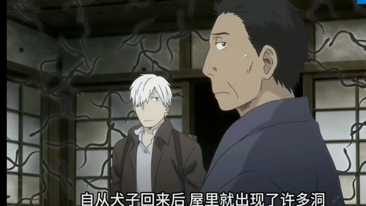 男人出海归来，却带回来了一屋海蛇，让家里体弱的人一躺不起