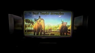 【SEGA】Let's Go JUNGLE!  レッツ ゴー ジャングル