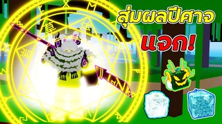 blox fruit สุ่มผลปีศาจ แจก! ผู้เล่นใหม่! Part 2