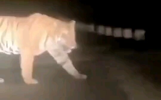 ผู้โดยสารโปรดระวังความปลอดภัย