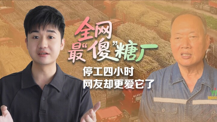 What happened to that sugar factory that proactively bought up unsold sugarcane?