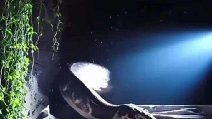 (เต็มเรื่อง) ซุ่ยซุ่ย หนูน้อยจอมอิทธิฤทธิ์