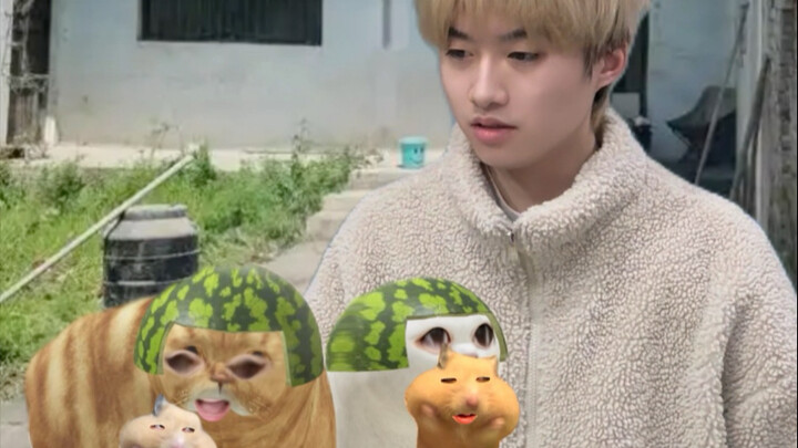 معركة ذكية بين القطة والفأر: حلقة حساء الدجاج السام