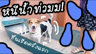 โลกของแสนดี ตอน ขึ้นเรือหนีน้ำท่วม!