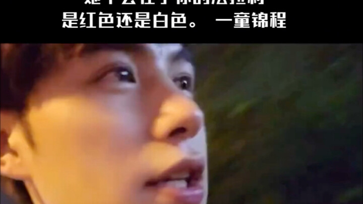 Danh ngôn của Đồng Cẩm Trình: Thực ra con gái cũng vậy thôi, họ chẳng quan tâm chiếc Ferrari của bạn