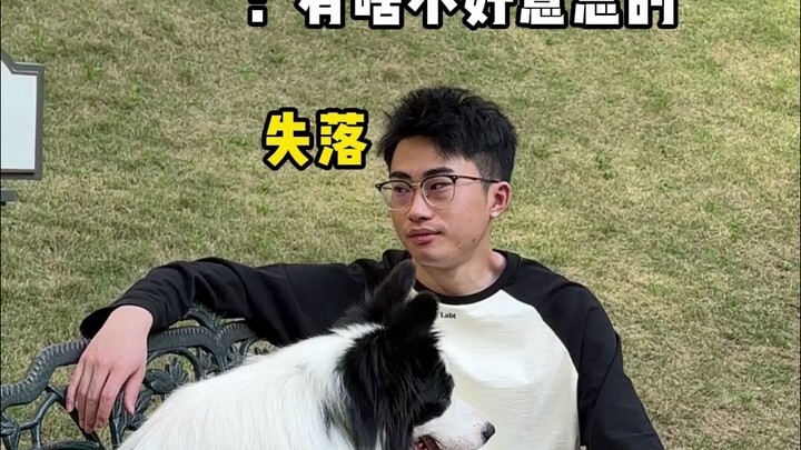 Dog owners' mental activities when encountering different passersby