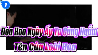 Đóa Hoa Ngày Ấy Ta Cùng Ngắm| Sao? Loài hoa hôm đó tên gì?_1