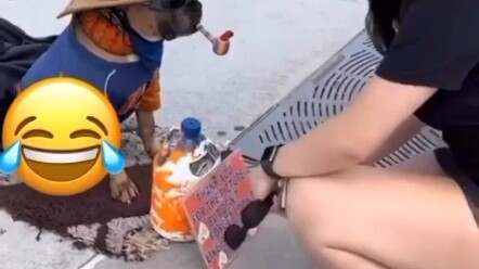 Chó: Không đưa tiền thì đừng nói quen biết tôi