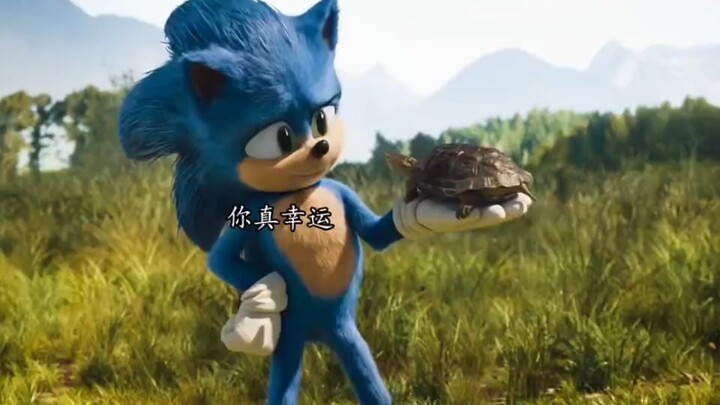 A little turtle chasing speed meets an unexpected twist! #Funny