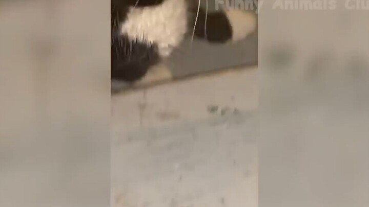 Đỡ không nổi những tình huống khó đỡ #102