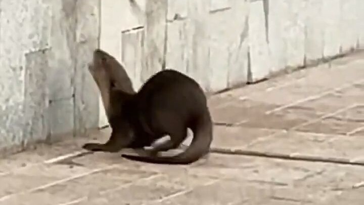Khoan đã, còn có tôi nữa mà