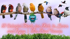 50 Colorful Birds for Kids to Learn and Enjoy | Fun Bird Names