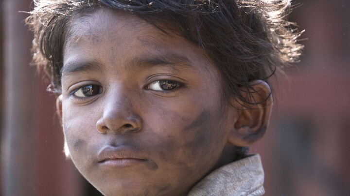 ภาพยนตร์อินเดียดัดแปลงจากเรื่องจริง! ร้องไห้จนตัวเปียกเพราะหนังเรื่องนี้ ไม่อายเลยสักนิด! “ลูกสิงโต”