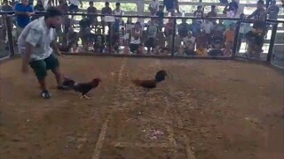 2x winner unscratch again