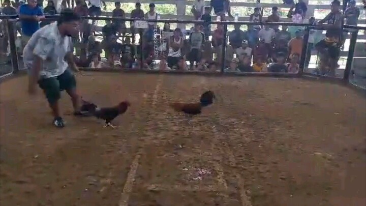2x winner unscratch again