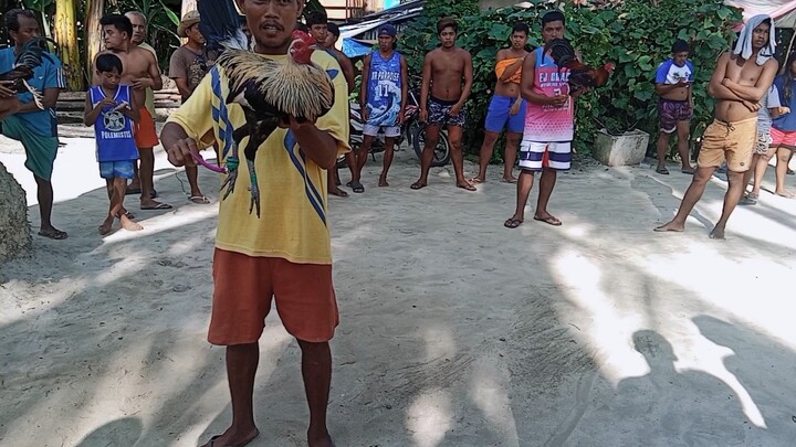 talisayin visaya lines na naman