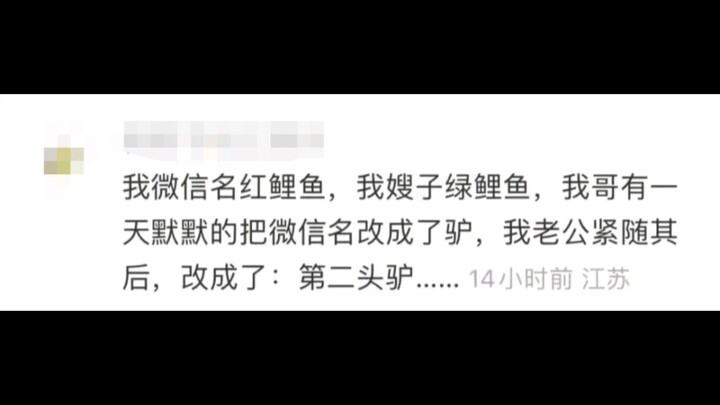 The whole family’s “couple-y” online nicknames… Every family member has to be “so cute and cuddly”… 