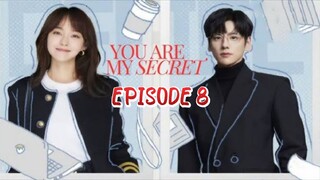 You Are My Secret ep 8 (sub indo)