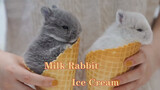 วิธีทำไอศกรีมด้วยกระต่ายตัวเป็น ๆ