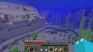 You can't survive without water! You will lose blood if you leave the water! Minecraft Underwater Su