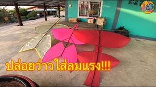 ณ วันที่23อุบลราชธานีลมแฮงปล่อยว่าว3ตัว ความเร็วลม45