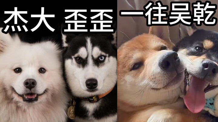 无所谓，配音圈有自己的显眼包（dancer版）十一