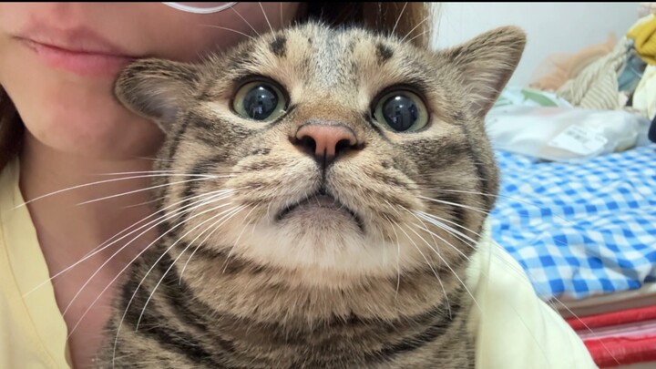 The cunning kitten plays hard to get—she only purrs when you nuzzle her with your mouth, but gets sm