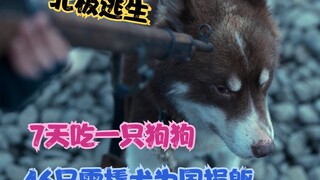 7天吃一只狗狗，16只雪橇犬为国捐躯，到底值不值得