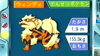 オーキド博士のポケモン講座(ウインディ)