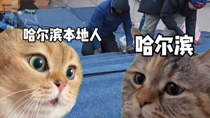 Khi du lịch Cáp Nhĩ Tân thu về 6 tỷ nhân dân tệ chỉ trong ba ngày