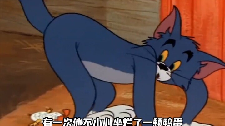 Saat aku sadar Tom ternyata seekor kucing kecil, semuanya jadi imut banget! Tom memang kucing Persia