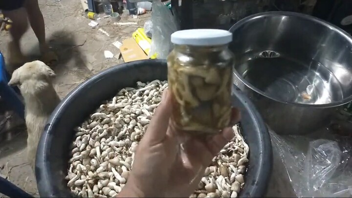 วิธี ดองเห็ดโคนน้อย