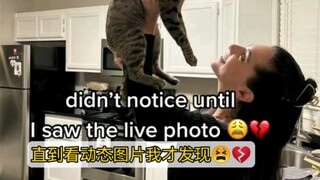 Tôi đã xem hình ảnh động và nhận ra...