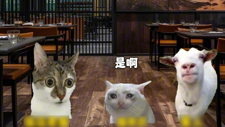 What did I say wrong?