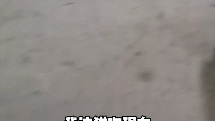 ดูเหมือนว่าวงการแมวจะมีตำนานของพี่แล้ว! ต่อไปเรียกพี่ว่า “เจ้านายเหมียว” นะ ขอบคุณค่ะ! เห็นหน้าก็รัก