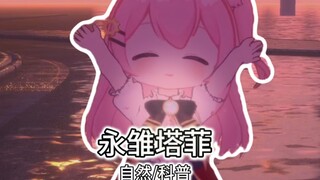 也许我们每个人都是永雏塔菲