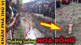 🔥 Thuồng Luồng HOÁ RỒNG Và 5 Bằng Chứng Chứng Minh Thuồng Luồng Có Tồn Tại Ở Việt Nam | KPTV