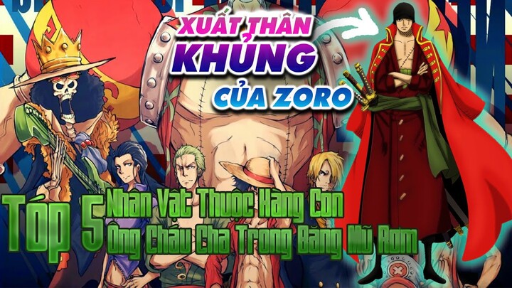 TOP 5 Nhân Vật Thuộc Hàng Con Ông Cháu Cha Trong Băng Mũ Rơm | Lee Anime