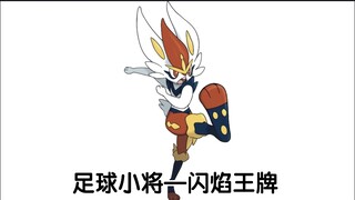 宝可梦大型纪录片—闪焰王牌传奇