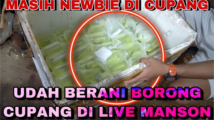 INI DIA YG BORONG IKAN DI LIVE YOUTUBE MANSON